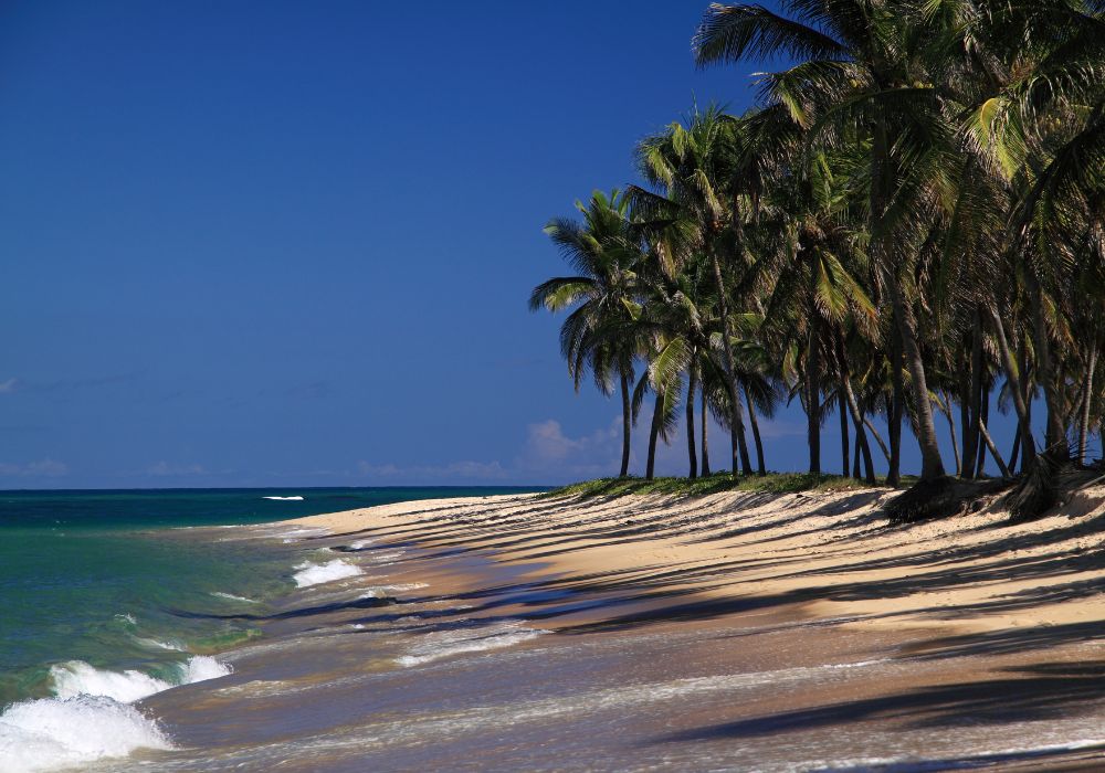 Praia do Gunga, Maceió (3)
